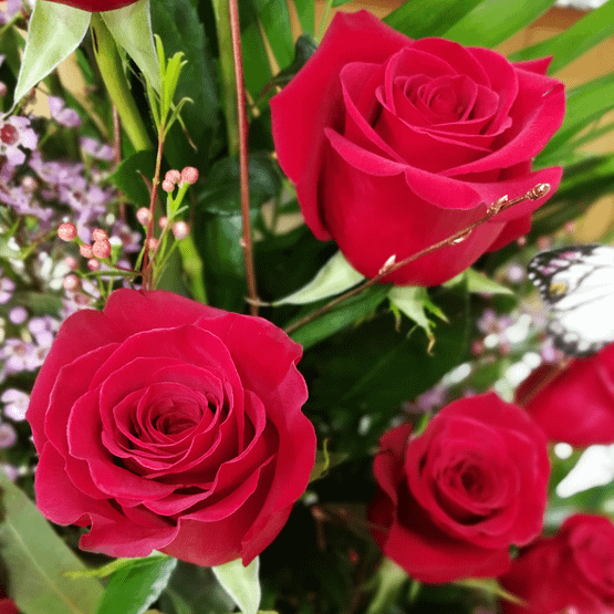 centro 14 rosas rojas de cerca