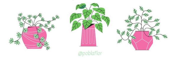 dibujo plantas