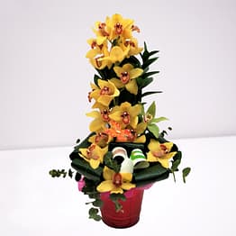 orquidea amarilla