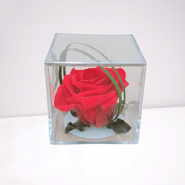 rosa preservada caja