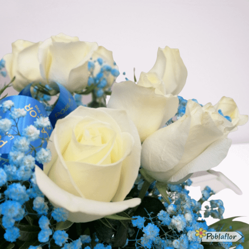Detalle rosa blanca y paniculata azul