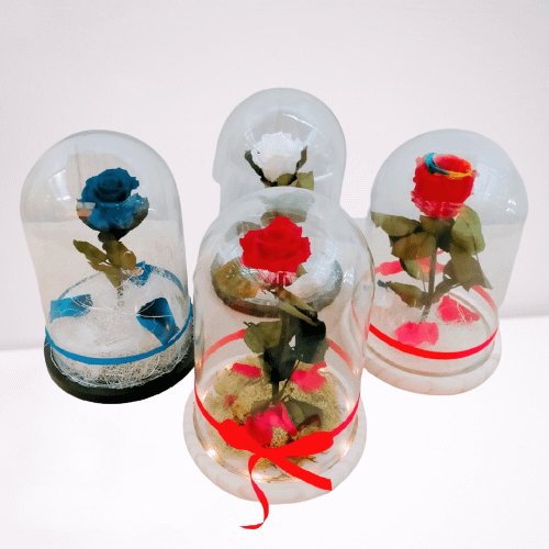 conjunto de rosas