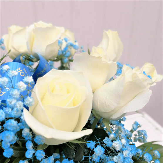 ramo de doce rosas blancas y paniculata azul de cerca